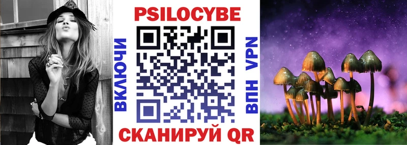 Галлюциногенные грибы Psilocybe  закладки  Белогорск 
